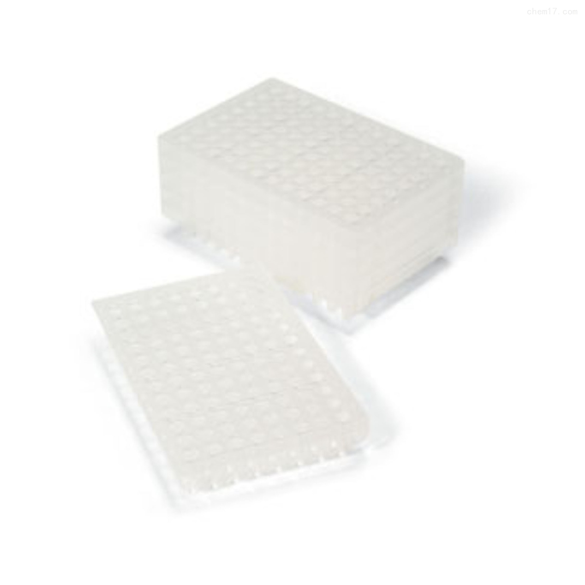 Bio-Rad 2239441 96孔板PCR 板, iQ 96-Well PCR Plates，25/包