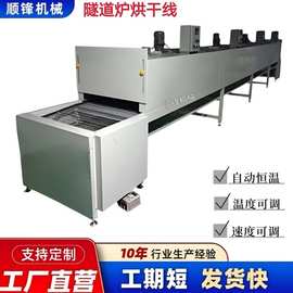 烘干线隧道炉烤漆线丝印固化五金件清洗流水线烘烤炉高温烤干线