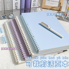 可裁剪diy夹条活页笔记本本子a4pp记事本a5线圈本b5空白手帐本