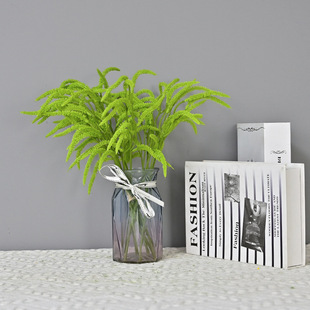 �������3֧�����˜I��β����β��ʯ�ɼҾӘӰ��g��廨�b�c