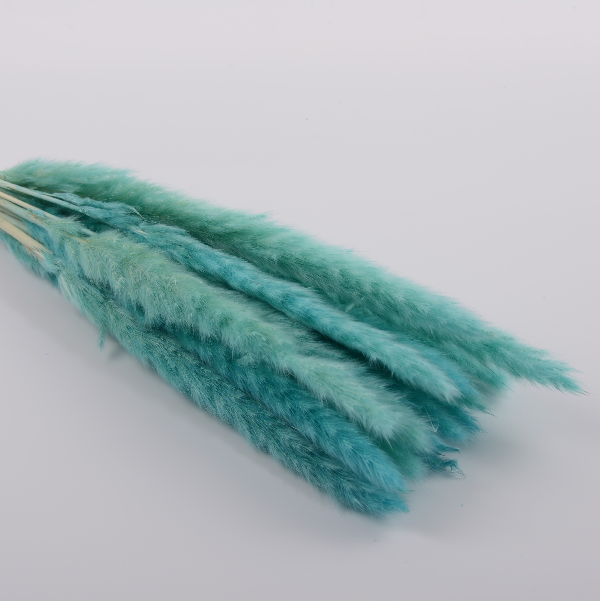 티파니 블루 15개입