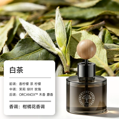 Perfplant seat, freshener, long-lasting fragrance for car - white-tea