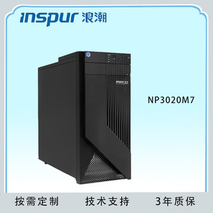 Suitable for Yuan Nao Np3020M7 Inspur Information Tower Server Oa Office Erp Financial Small Storage Host