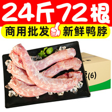 24���������r��������������uζ��偟���ʳ�������������l