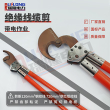 10kV������I䓽g���^�����|���߿����I���������Q��·�z��䓽z��