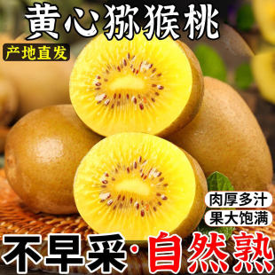 ���r�S�īJ����5��Fժ�S���殐������ˮ�������Fժ�����Ҵ��