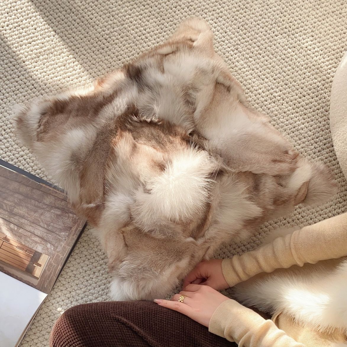 그라데이션 브라운 폭스 퍼