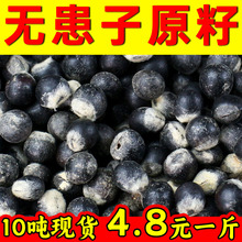 无患子散珠菩提子原籽DIY佛珠手串手链500g一斤文玩未打孔串珠子