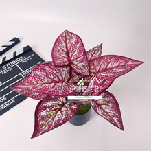 仿真绿植马蹄龟背叶绿化景观草植物墙配材装饰园艺家居假绿植 批