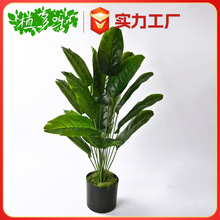 �GֲС���Դ���18�������B���W�L�҃ȿ͏d�b�����ֲ���쾰�[��