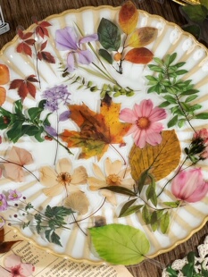 �Z�e������ӛpetֲ�ﻨ�܈D���N���͹����~�زĘ��~�֎��N��