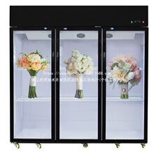 �r�����r�����껨���䙙�����r����չʾ����ؙ��L��o˪�������