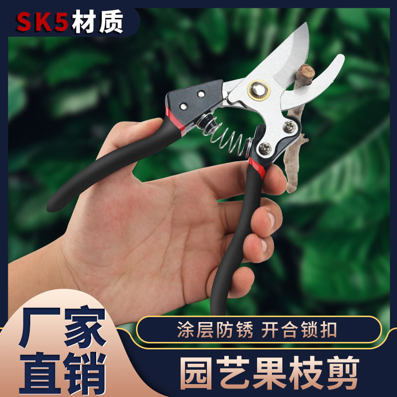Jardín de jardinería tijeras de corte de ramas de árboles frutales artefacto de corte de ramas verdes domésticas herramienta especial para recoger tijeras de ramas