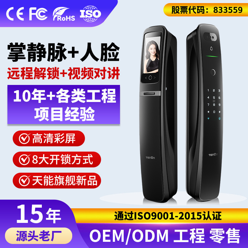 High Security Anti Theft Password Face Id Camera Smart Lock