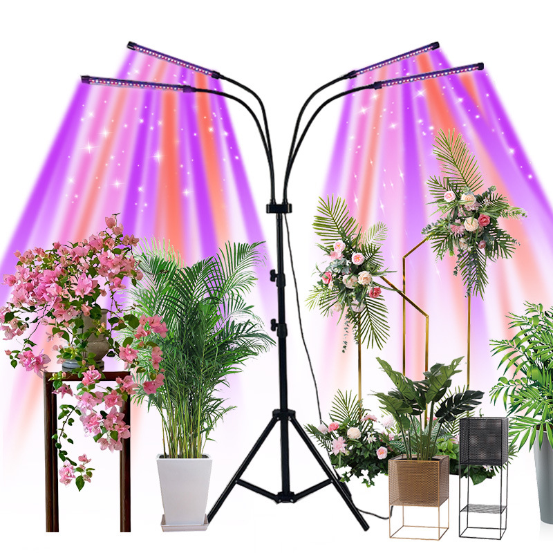 LED floor fill light