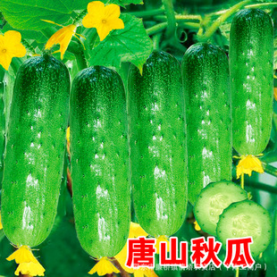 ��ɽ��ϷN�Ӻ��S�ϷN�ѷN�Ѹ߮aˮ�����S���̨���Դ��＾�߲���