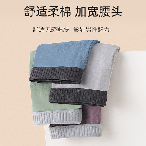 Spring and summer men's underwear pure cotton graphene antibacterial crotch mid-waist comfortable breathable cotton high elastic men's boxer briefs