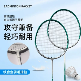 羽毛球拍;乒乓球;羽毛球