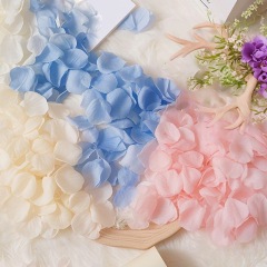 バラの花びらをシミュレーションして結婚して告白します。