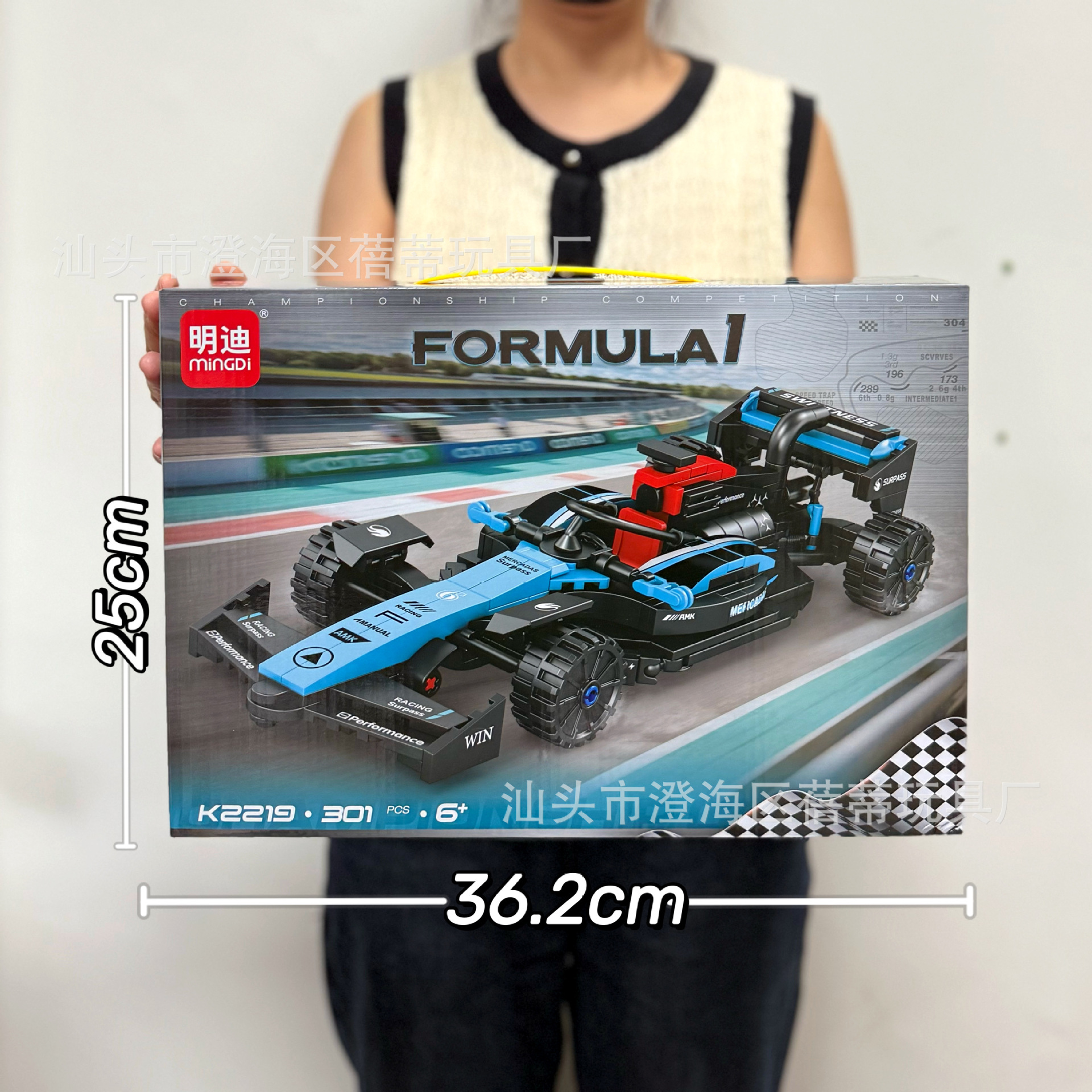 K2219 レーシング積み木 [301粒子]