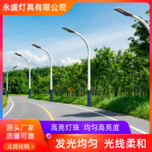 闪电拿样包邮活动款户外市电路灯金豆LED路灯新农村庭院LED路灯