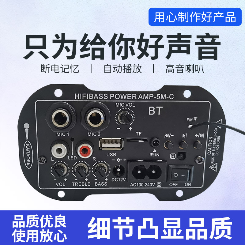 Fábrica transfronteriza dedicada de 5 pulgadas 12V220V doble propósito dual MIC con BT coche amplificador digital tablero amplificador Accesorios