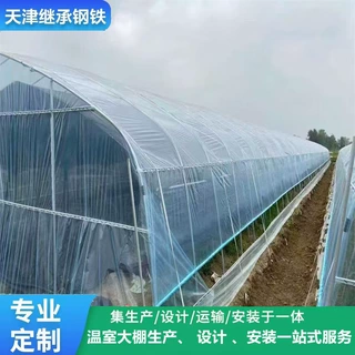 简易阳光蔬菜大棚 冬季育苗葡萄 甜瓜 西瓜 西红柿 草莓种植 福建