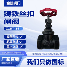 zlyZ15T-10/16TFzۃȽz~оlyDN1520253240506580100