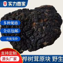 长白山野生桦树茸原块黑精包邮瓶散装量大批发食品泡水中药材礼盒