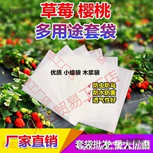 樱桃袋草莓专用套袋车厘子无花果套袋防虫防鸟防水防雨防菌麦太保