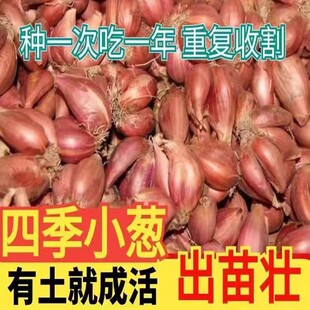 ���[�^ �t�[�^  ���[�^�N�����ļ������rС���[�^�r���ԷN