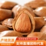 新疆代发原味带壳坚果