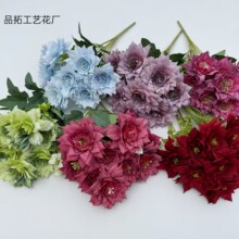 ���滨 ���^������ �̈����û�ˇ�[�O�ٻ������f�}���b羳���l