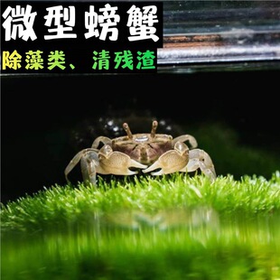 ��������з���w΢���^��ˮ�Y���^�pз����ˮ�����坍���׻�С����