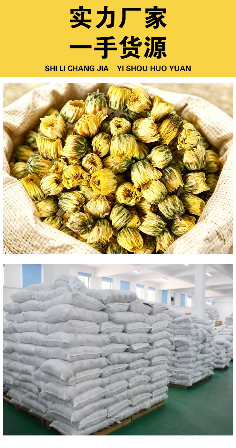 Tai Ju (Chrysanthemum morifolium) Dried Flower Buds — Sulfur-Free Tongxiang Herbal Tea, 500g overview