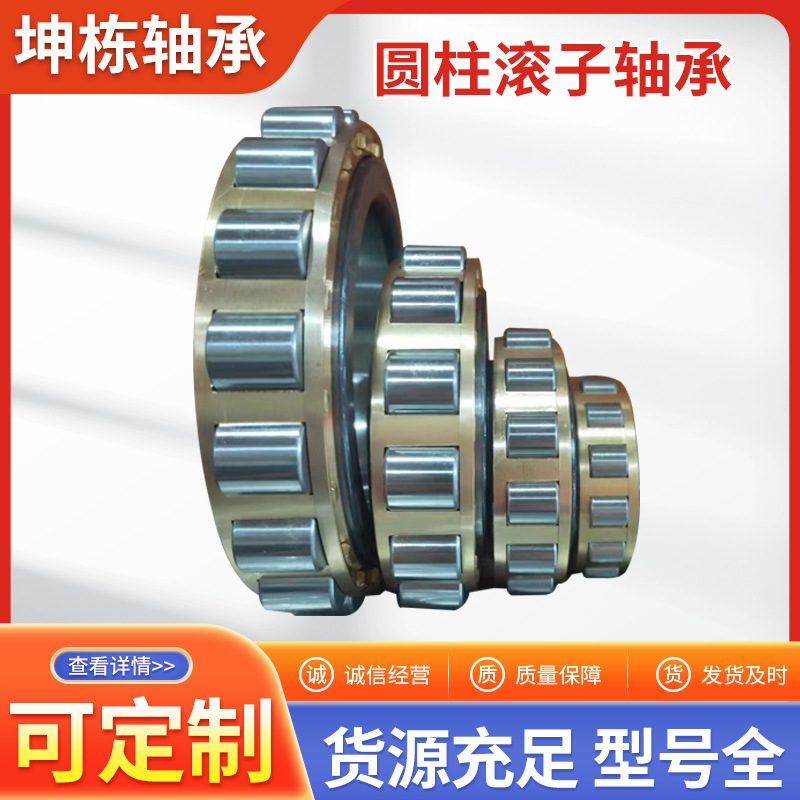 厂家现货摆线针减速机轴承偏心轴承圆柱滚子轴承RN205MRN206MRN30