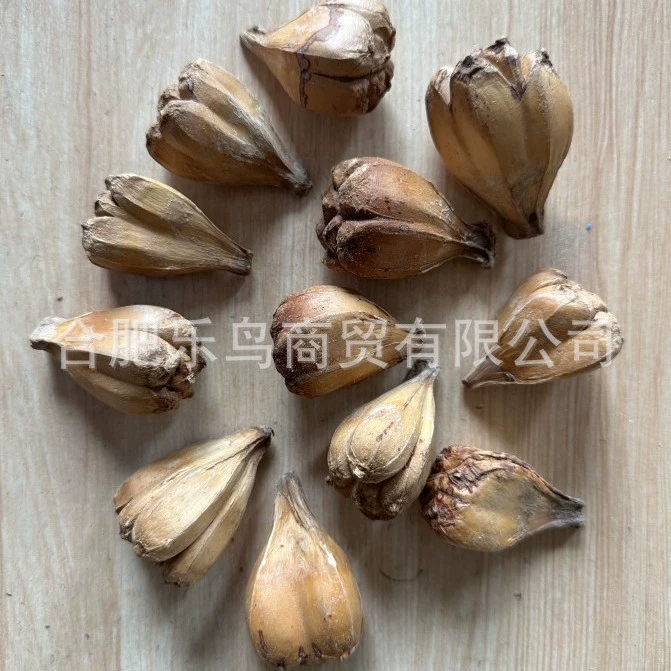 Набор из 12 жевательных фруктов для попугаев, чтобы снять скуку и улучшить состояние клювов, натуральные сушеные фрукты, аксессуары для рукоделия, можно использовать как украшение для дома.