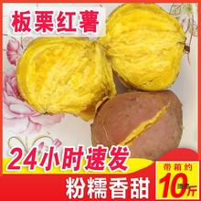 板栗红薯新鲜农家自种黄心栗子干面地瓜现挖粉糯甜鸡蛋黄番薯 5斤