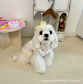 狗狗玩具;狗狗服装;宠物鞋靴