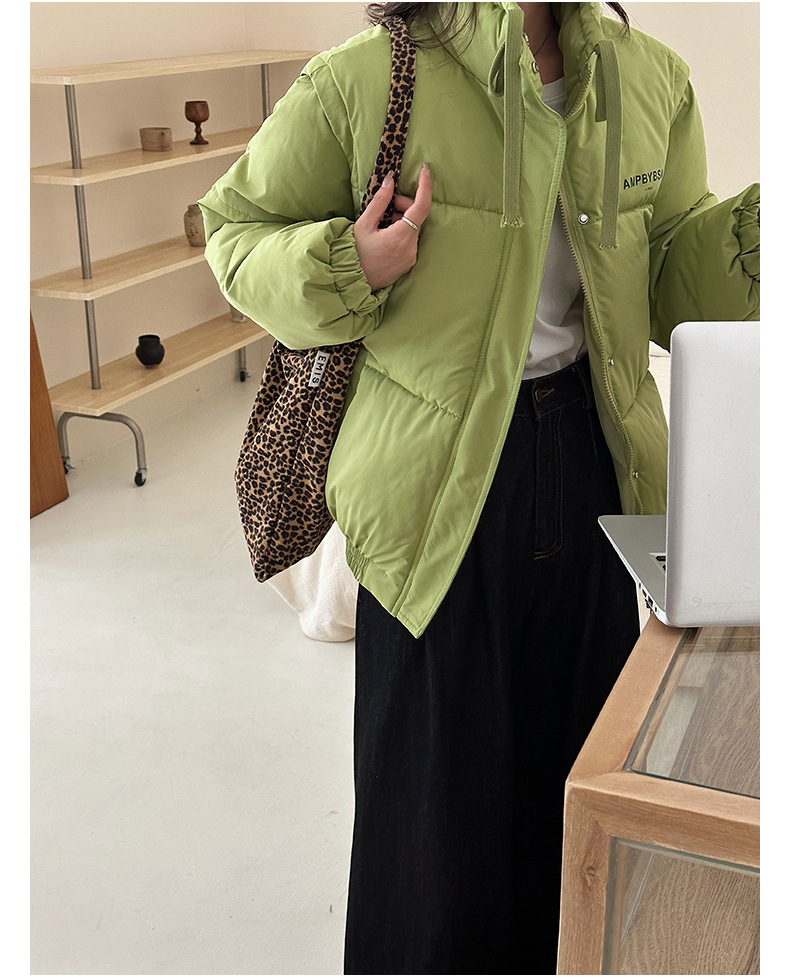 Abnehmbare Ärmel, Männer und Frauen, dickes Winterdesign, Unterhemdweste, für lässige Paare, Daunenjacke aus Baumwolle_voghion.com