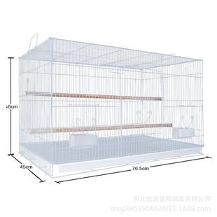 �ӱ�������Ƥ�W�^�B�\�˸箋ü���������ô�̖�����B�\��