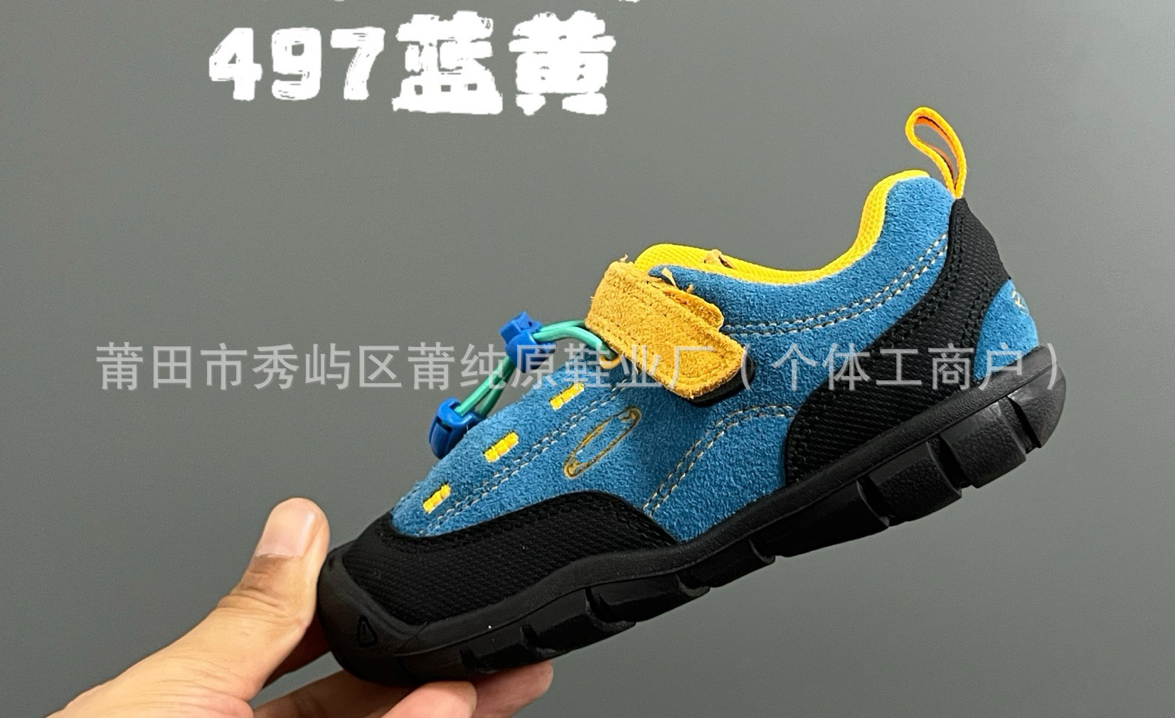 497 blue and yellow / 24