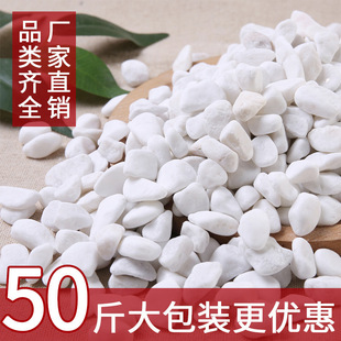 Wholesale White Pebbles for Courtyard Paving and Landscaping