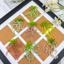 �������K�������Ѵ�DIY�Ʒ����Ь�����b�o�������l������