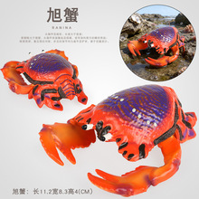 ���溣�����ģ���з�ľ�зɯ��з���cз����з��з��зģ�����