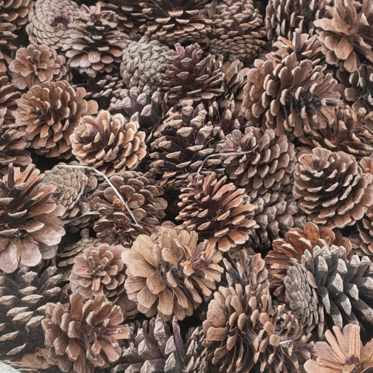 Reprehenderit qui in ea