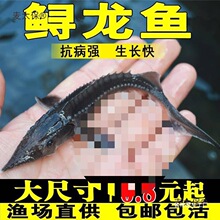 �~���Bֳ�^�p�~���w�\��̫���~�����\�~�������A�\������ˮ�~�~��
