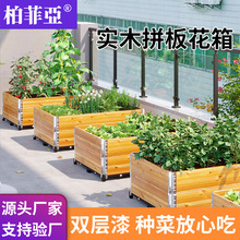 �N�ˌ�����������ľ����ͥԺ�߲˷Nֲ����仨�@��������N����