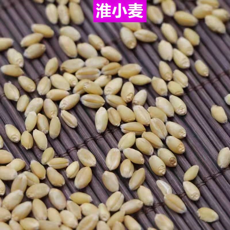 微信图片_20210102002625