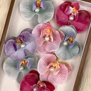 �n��Շ��к����m�^���l�AŮɭϵ��߅����A���X�ױP�lץ�A�Ӱl��